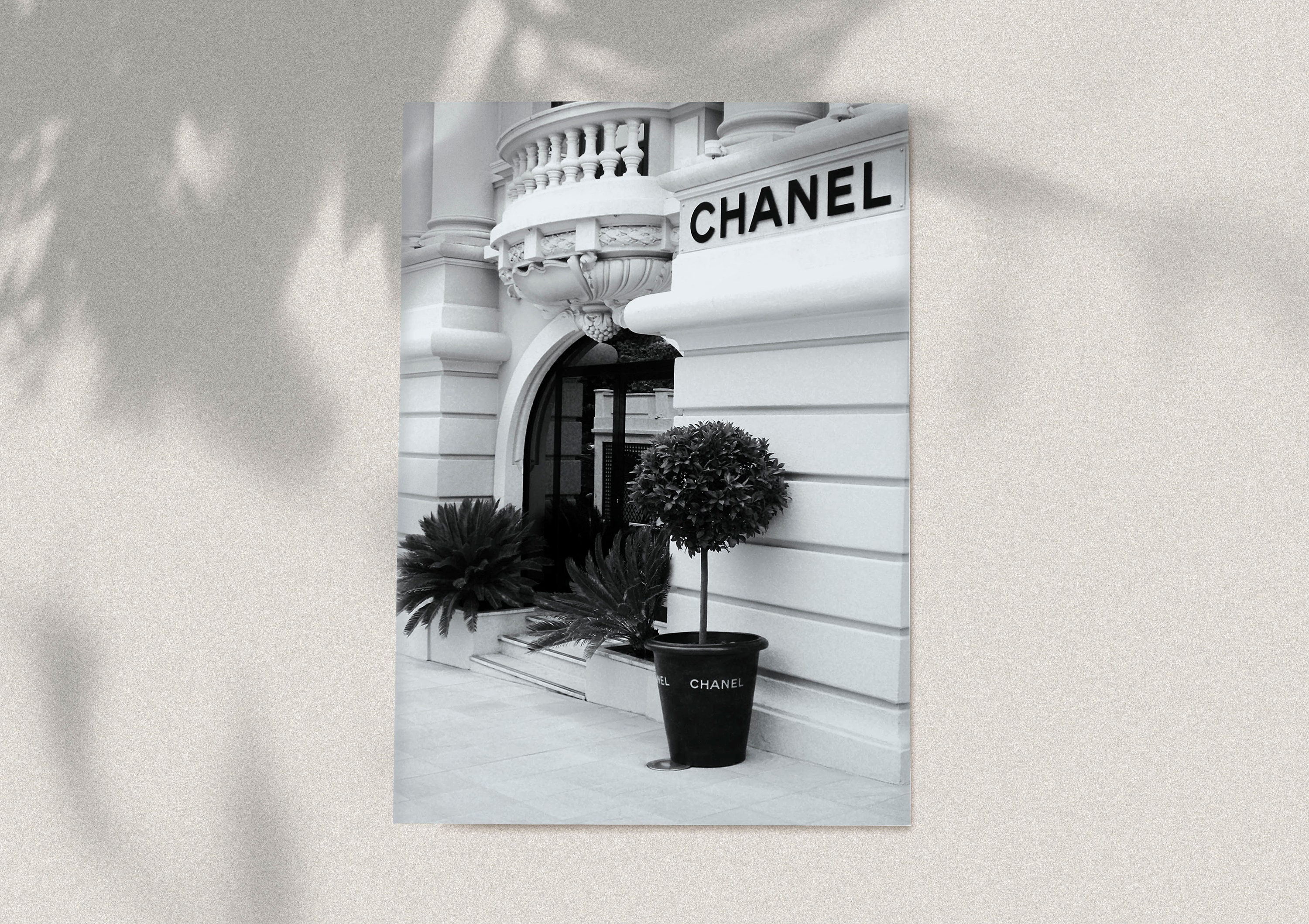 Buy Chanel Pictures Online In India -  India