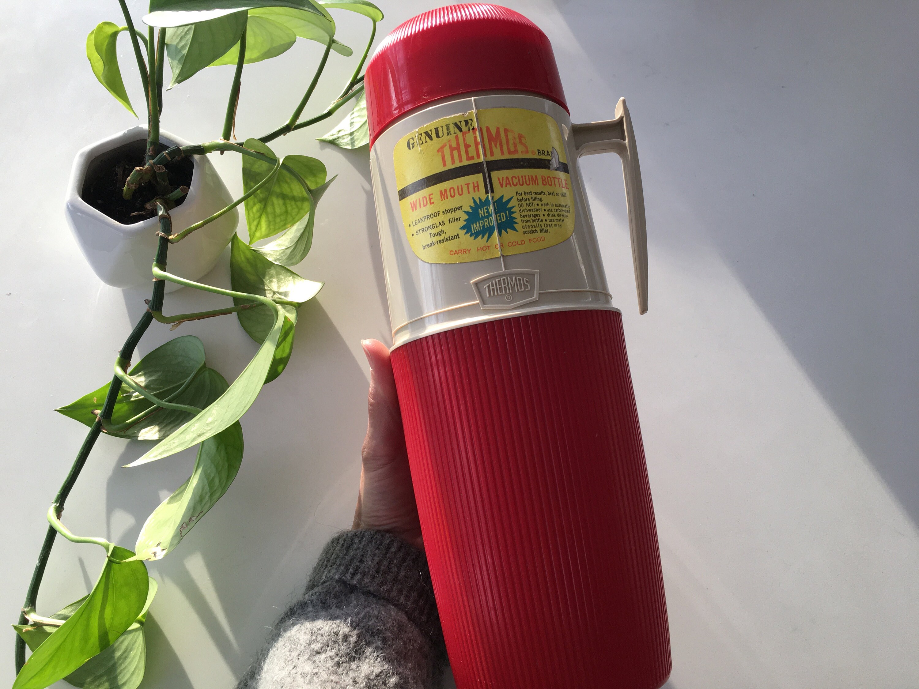 Wide mouth thermos deals
