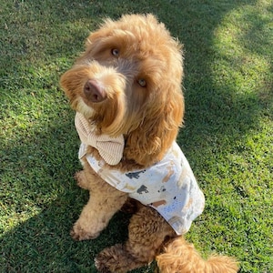 Dog jacket, winter coat