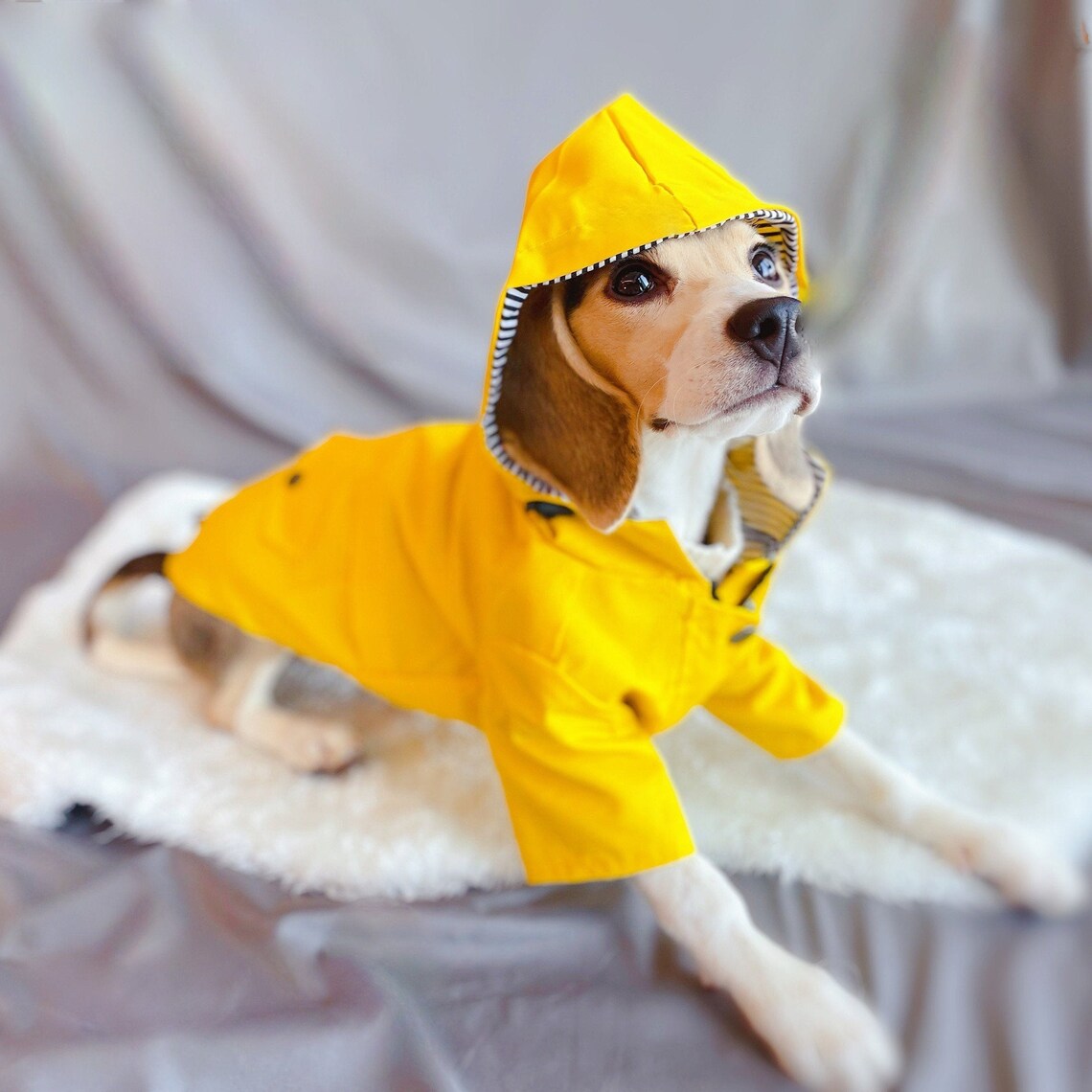Windproof Dog Raincoat Yellow dog raincoat Waterproof Etsy