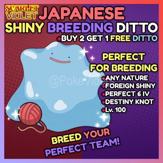 6IV Shiny Ditto Japanese or English Pokemon Scarlet and Violet