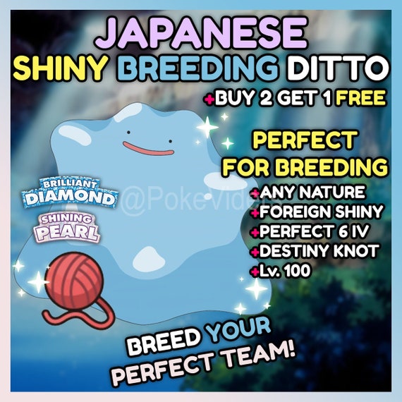 6IV Shiny Ditto Japanese or English Pokemon Brilliant Diamond and Shining  Pearl