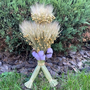 Peut inclure: Un bouquet décoratif composé de tiges de blé séchées et de graines de lin disposées en éventail, agrémenté de trois capsules de coton violet clair au centre. Les tiges sont liées et divisées en deux bases distinctes en paille tressée.