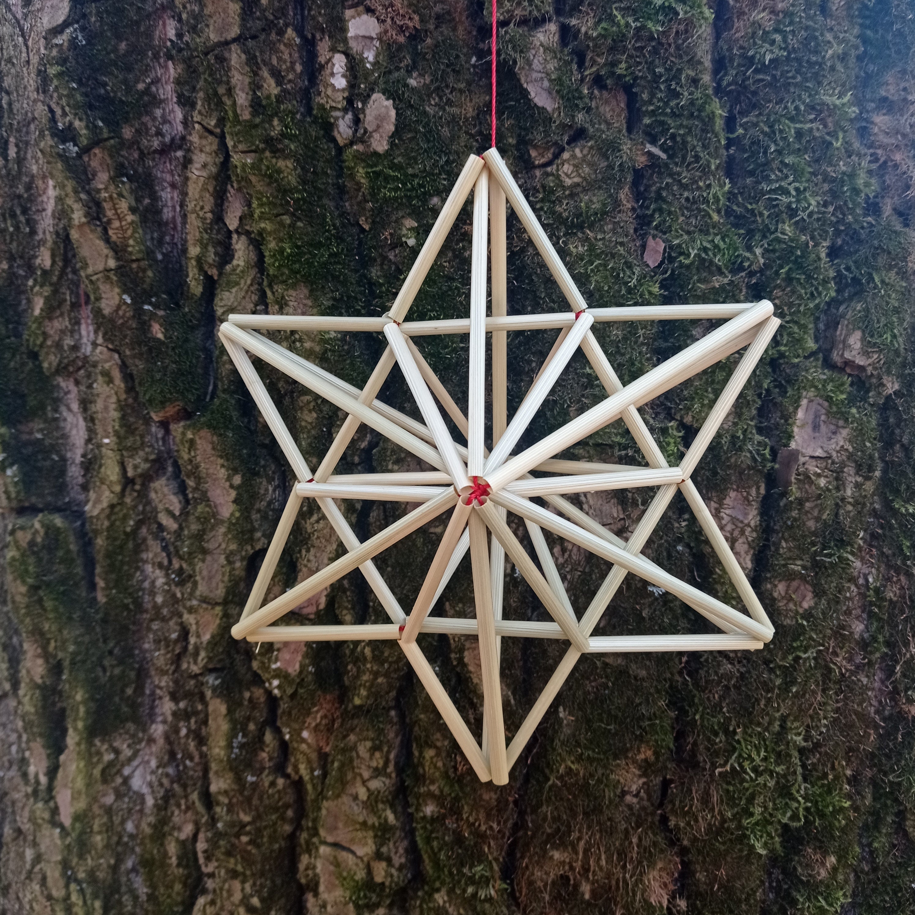 Over on eHow: DIY Himmeli Christmas Tree Star Topper