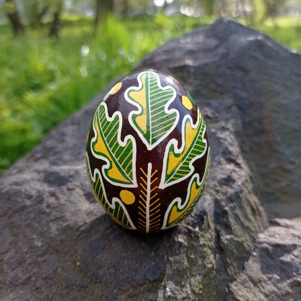 Ukrainian pysanka with oak leaves, traditional wax technique,real chicken eggs handmade, decorative eggshell, pisanka, great gift  collector