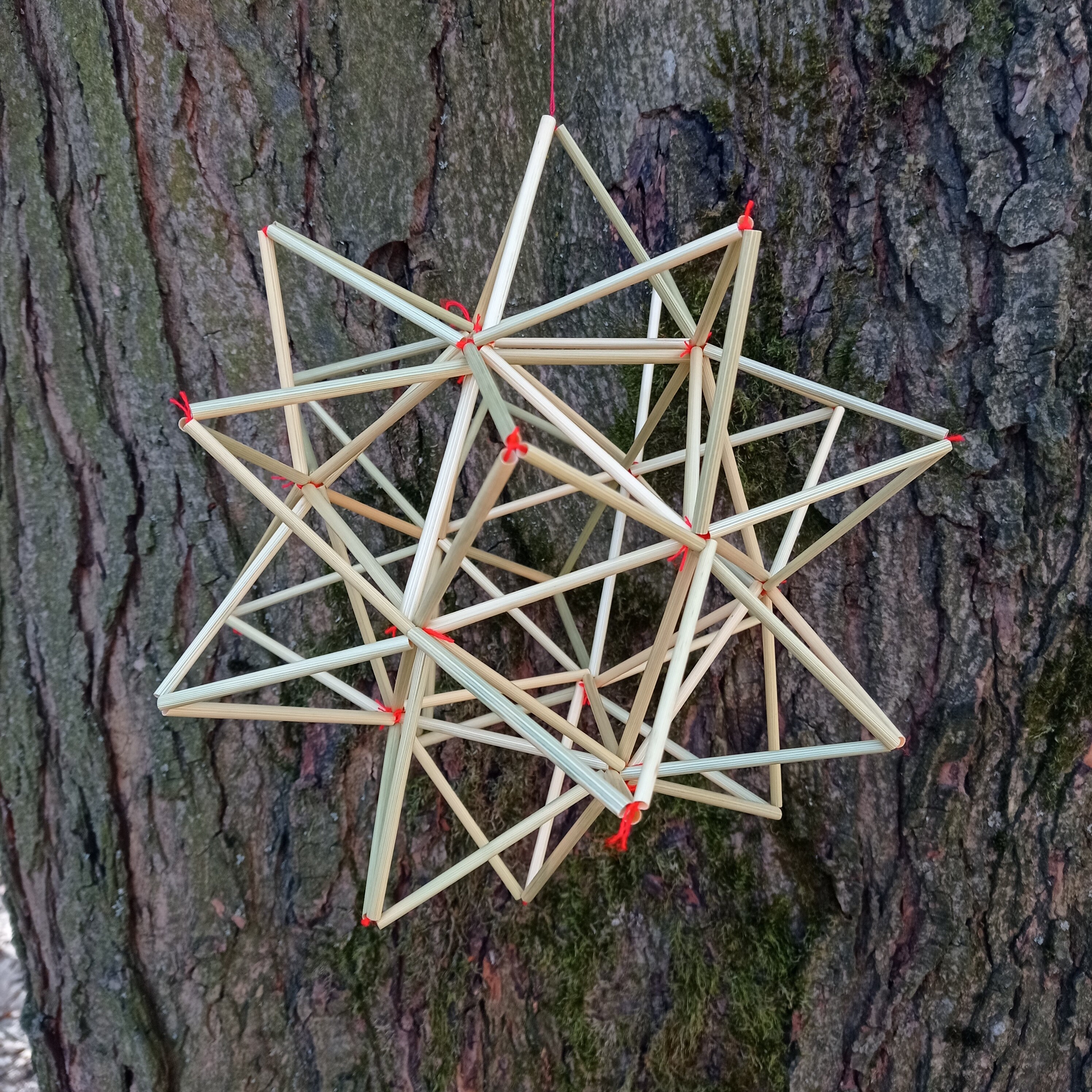 ヒンメリ(ダビンチの星)キット その他素材 himmeliの詩 通販