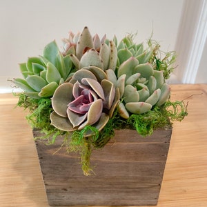 Wooden Box Succulent Arrangement, Table Decor, Birthday, Mother’s Day, Valentines Day gift