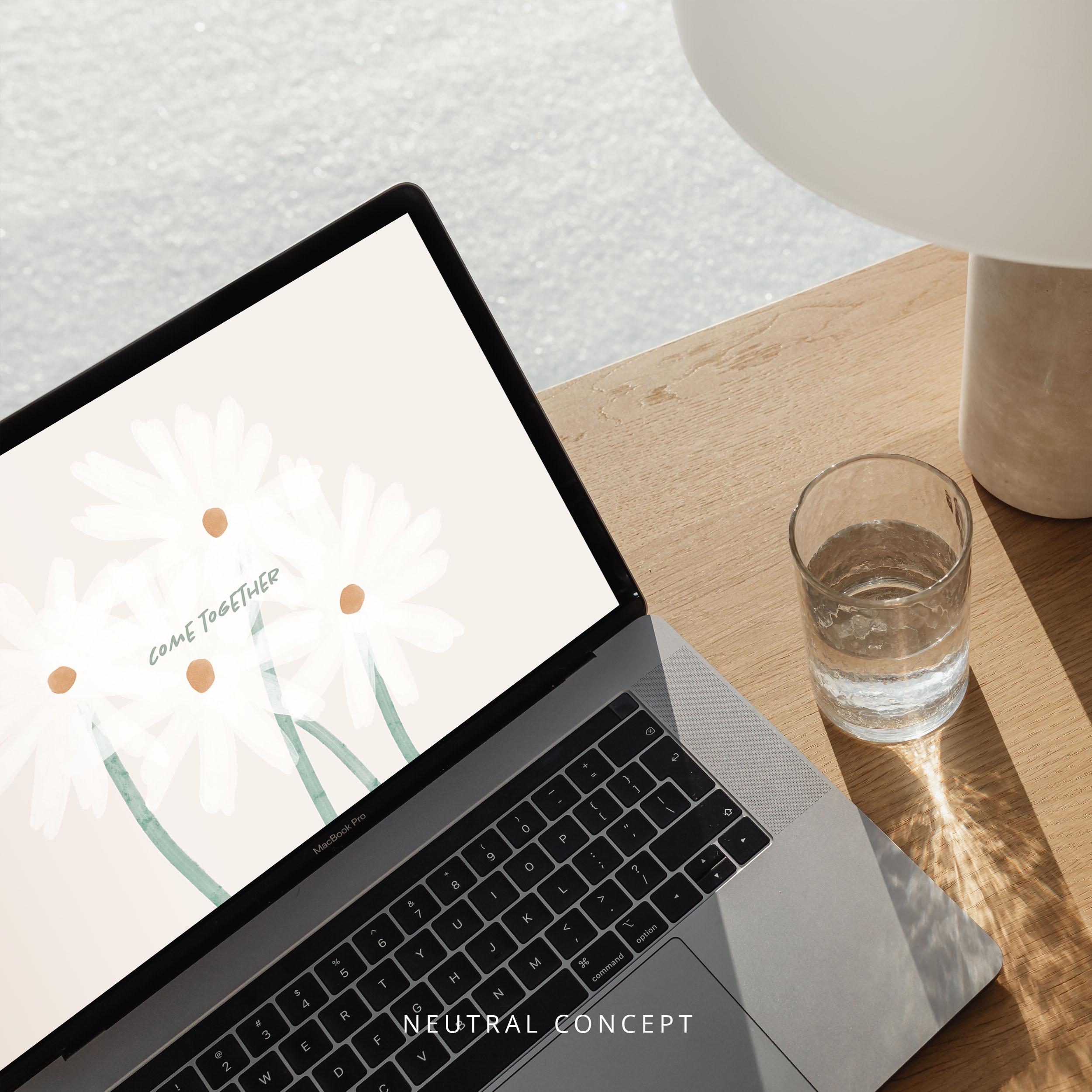 Daisy Floral Desktop Wallpaper | White Flowers Laptop Background ...