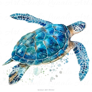 Clipart zeeschildpadden | Illustraties schildpad | Schildpad | illustraties schattige schildpad | Set van 10 aquarel cliparts | Afdrukbare kunst zeeschildpadden