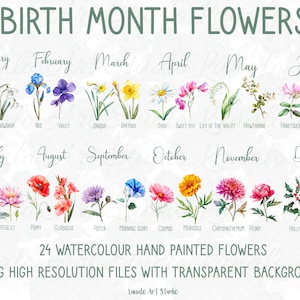 Lot de cliparts fleurs botaniques de naissance : images PNG mensuelles pour impressions aquarelles et cadeaux de la Fête des Mères