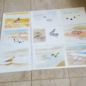 May include: A set of nine watercolor prints featuring various bird species in different natural settings. The prints are framed and ready to hang on a wall.