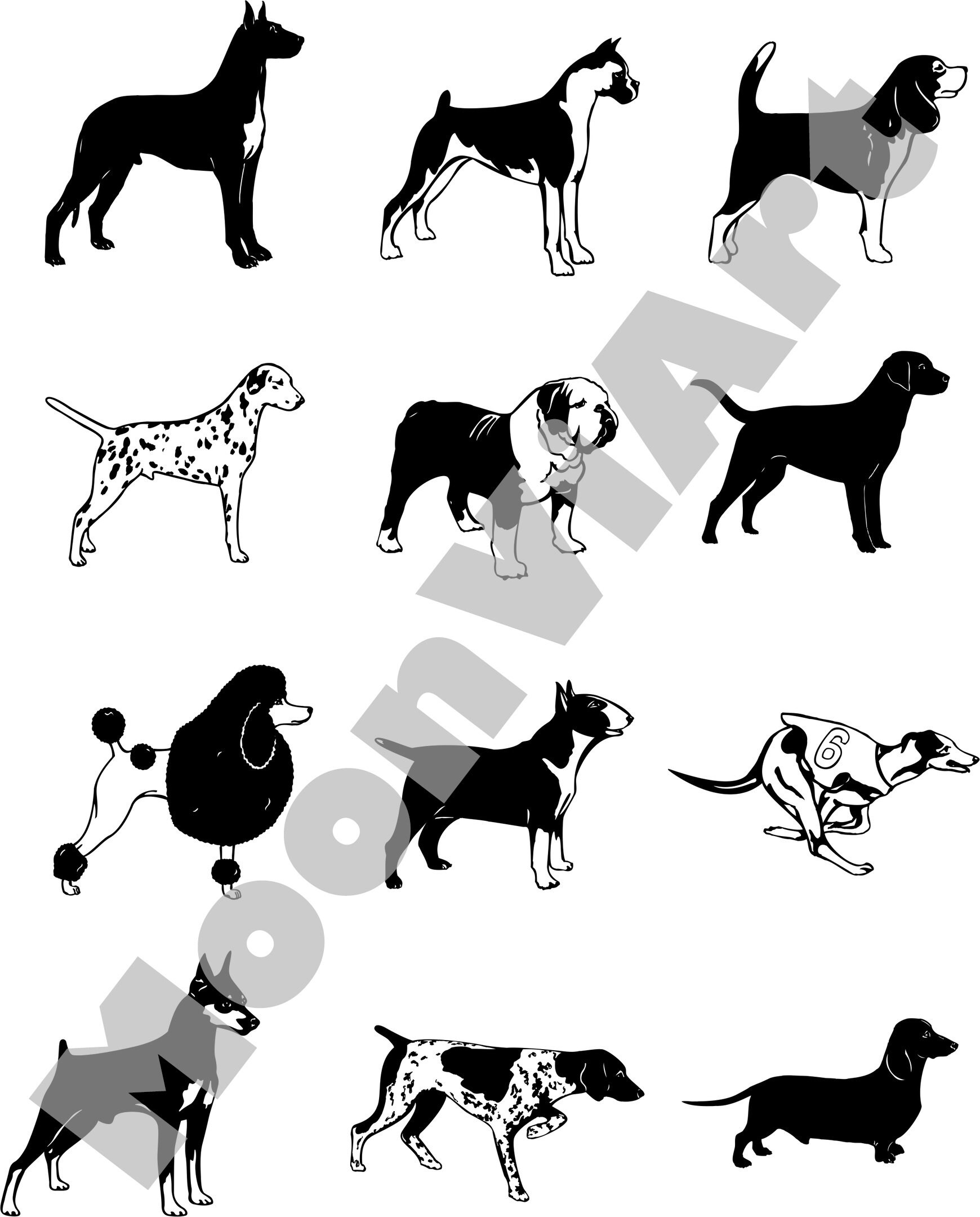 Hund Vektor-Set / Vektor / Zeichnung / Illustration / digitale | Etsy