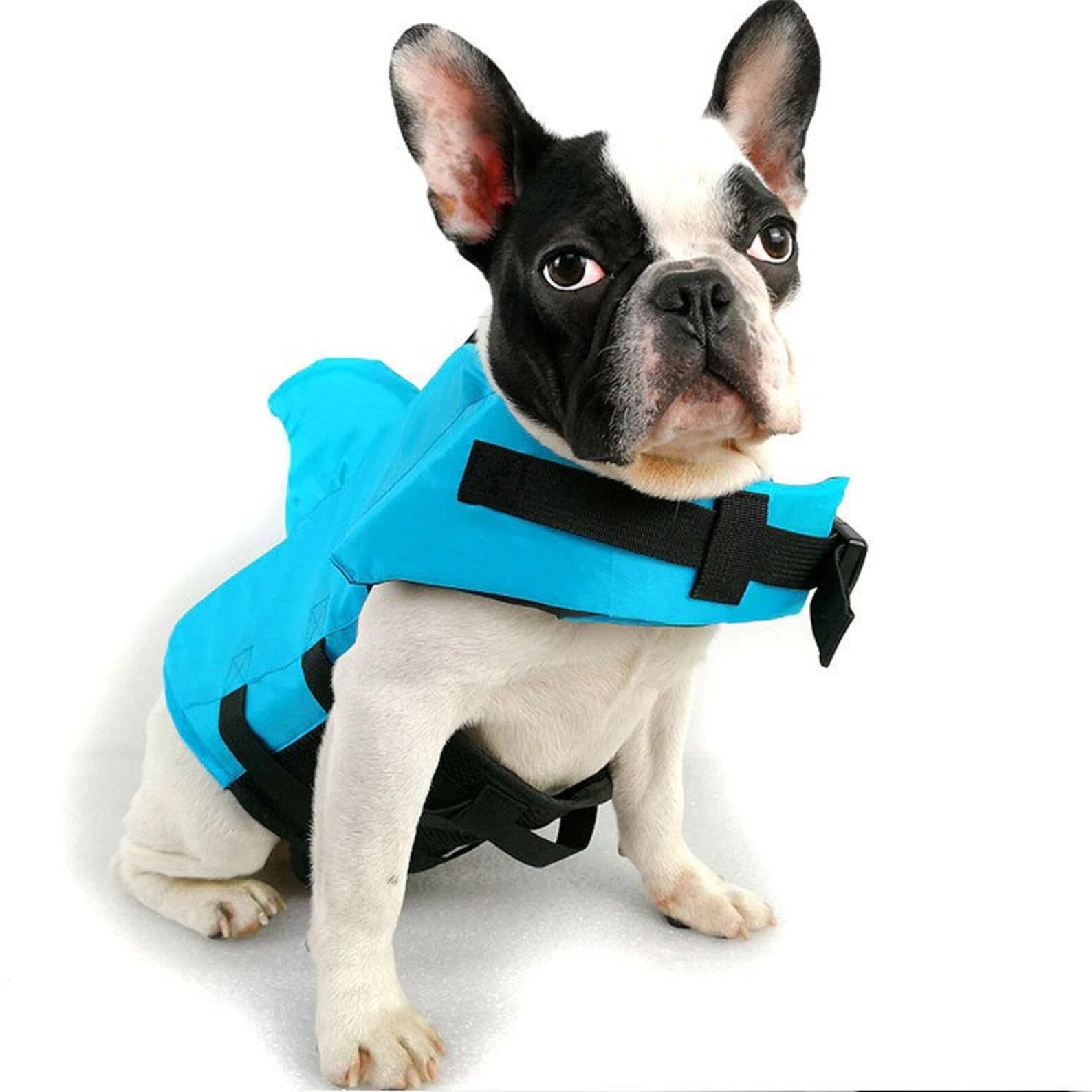 Swimming Clothes For Dog Life Vest Summer Pet Life Jacket Dog Etsy