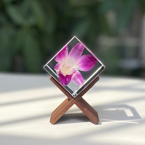 May include: A clear, square resin block containing a purple and white orchid flower. It is displayed on a small, dark wooden stand. The background is a soft, blurred green.