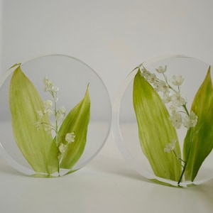 Lily of the valley In Resin Flower Preservation Resin Crafts Art Wedding Presents Floral Gifts