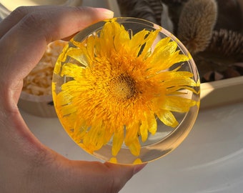 Resin Sunflower Paperweight: Adoration Gift in Wooden Box