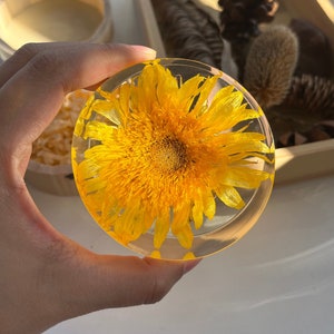 Teddy bear Sunflower Gifts for women for friend for kid Birthday Gifts of encouragement gifts