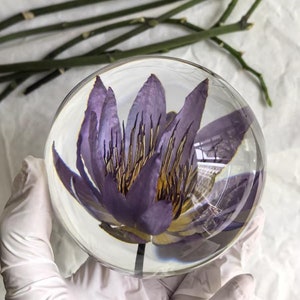 Water Lilies Preserved in Resin Sphere Lotus Flower Resin Gifts For Her Unique Resin Ornaments Crafts Floral Girl Gifts
