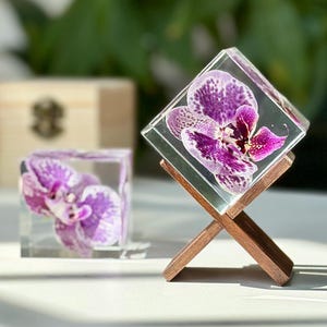 May include: Two clear resin cubes with purple and white orchids encased inside. One cube is displayed on a small wooden stand. The other cube is resting on a white surface. A brown paper bag and wooden box are in the background.
