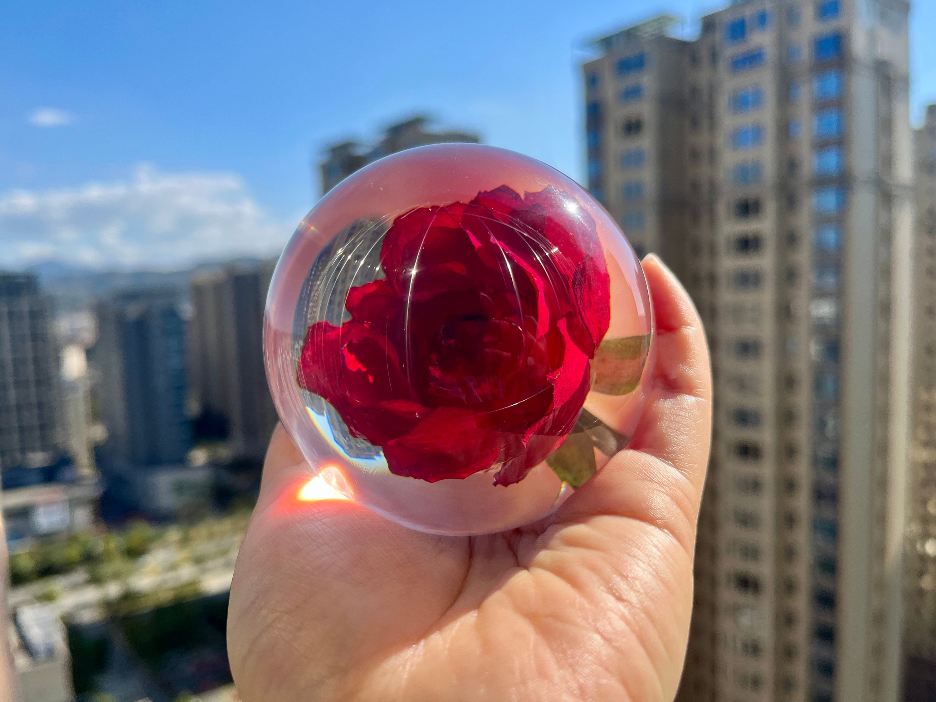 Real Rose in Resin Rose Resin Sphere Gift for Her Etsy