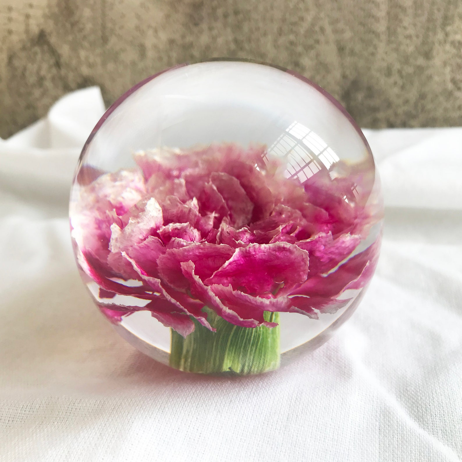 Preserved Carnation Gifts Carnation Flower Sphere Resin Shelf Etsy