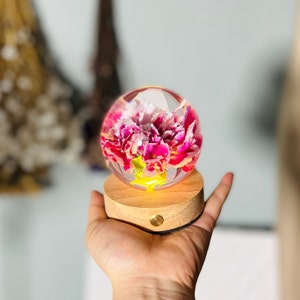 Preserved Carnation Gifts Carnation Flower Sphere Resin Shelf Decor Birthday Gifts for Mom for Wife Small Floral Gift