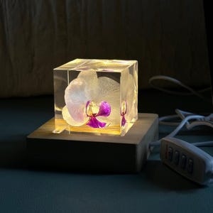 May include: A lighted cube with a white and purple orchid encased in clear resin. The cube sits on a wooden base, and the light shines through the flower. A white cord with a control panel is attached.