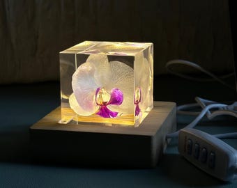 Preserved White Butterfly Orchid Mini Cube (≈5cm) w/ Branch Stand | Ready-to-Gift