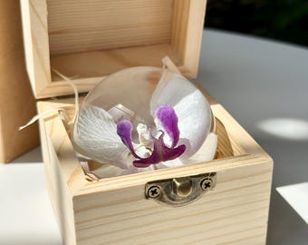 White Phalaenopsis Paperweight: Spherical Orchid in Handmade Wooden Box