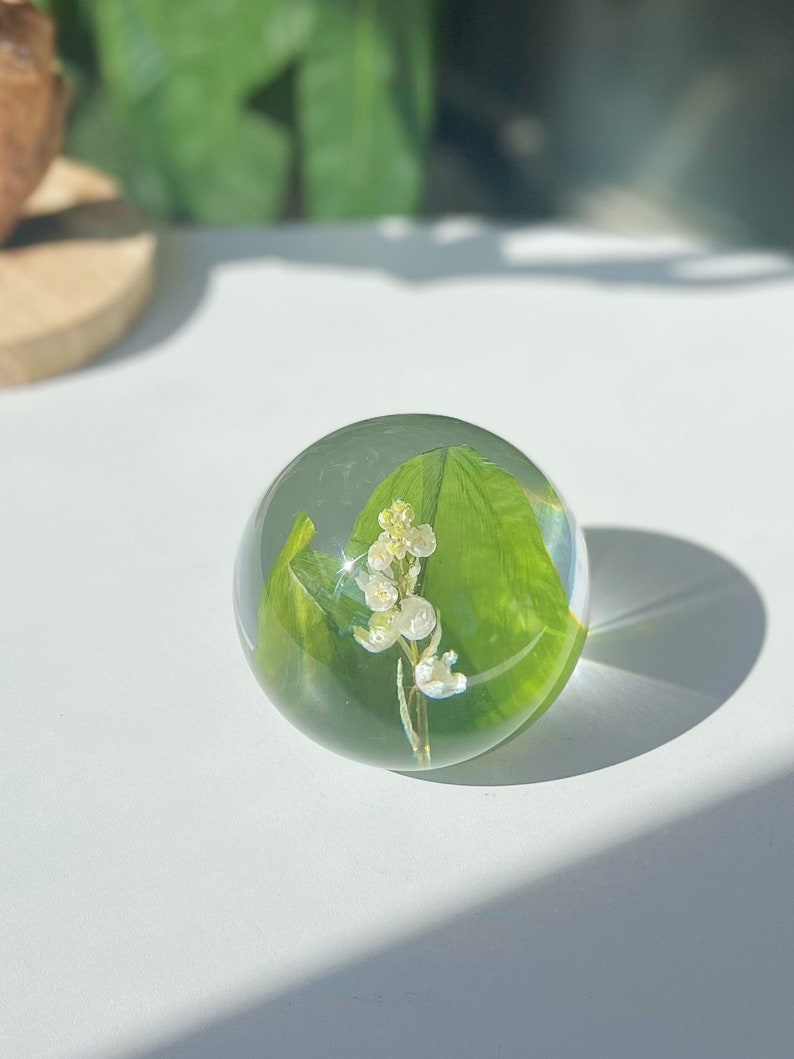 Lily of The Valley Real Flower Sphere Preserved Flower Souvenirs Botanical Gift for Her Unique Birthday Girl Gifts image 4