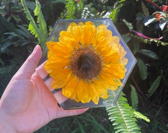 Real Sunflower Resin Paperweight: Hexagon Floral Home Decor