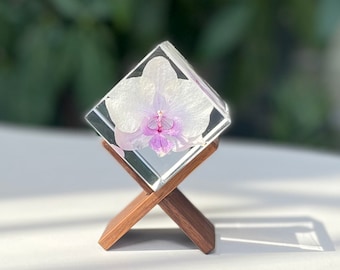 White Butterfly Orchid Resin Cube Ornaments Phalaenopsis Flower Epoxy Resin Art Nature Gifts for her Anniversary Wedding Gifts
