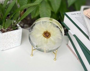 White Phoenix Peony Paeonia ostii Tree peony epoxy resin art Flower souvenir Gifts for mom Mother day's Gift for her