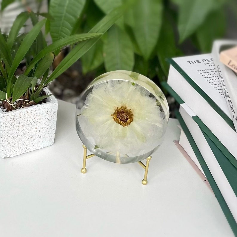 White Phoenix Peony Paeonia ostii Tree peony epoxy resin art Flower souvenir Gifts for mom Mother day's Gift for her zdjęcie 1