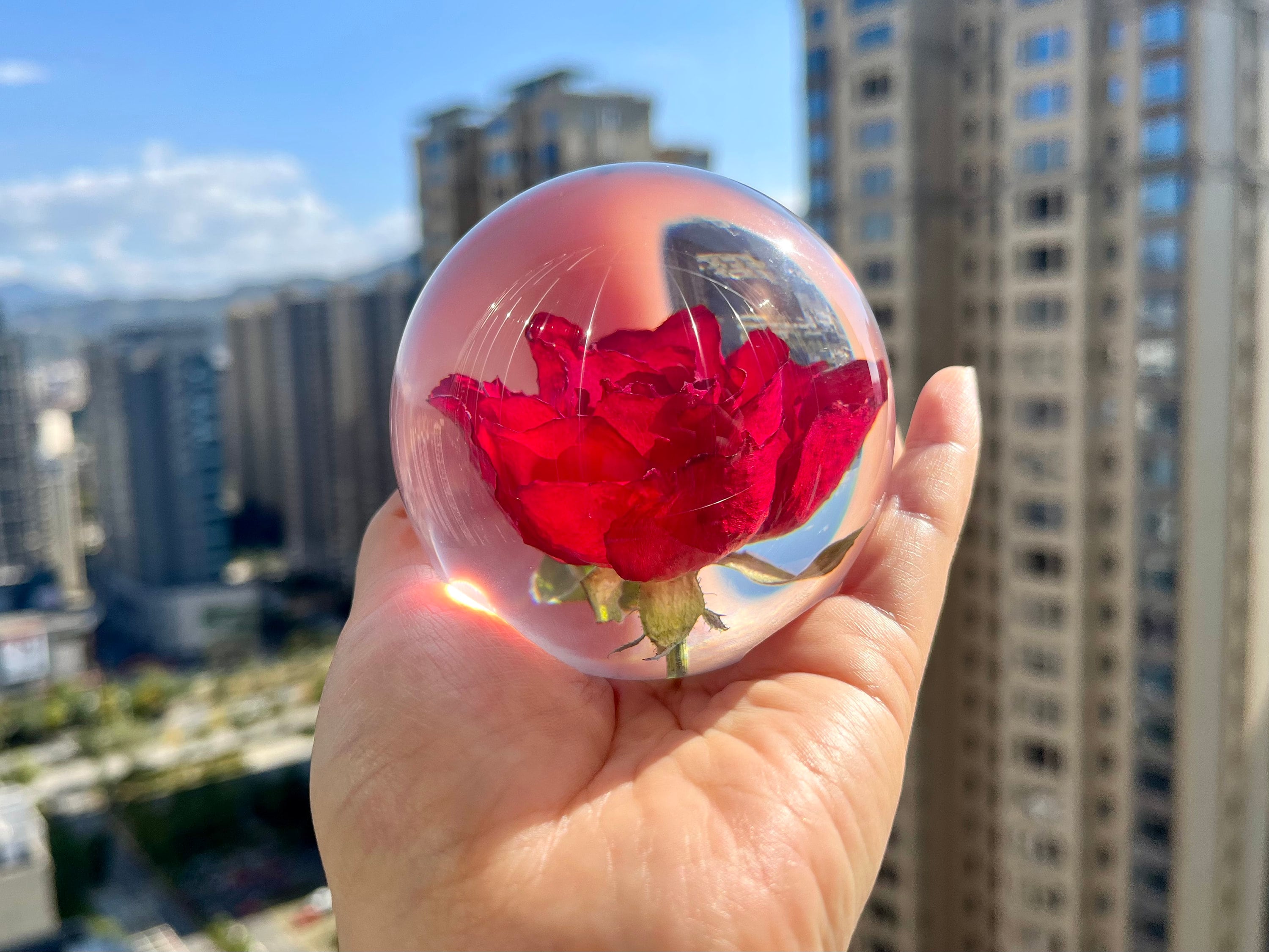 Real Rose in Resin Rose Resin Sphere Gift for Her Etsy