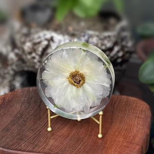 White Phoenix Peony Paeonia ostii Tree peony epoxy resin art Flower souvenir Gifts for mom Mother day's Gift for her zdjęcie 8