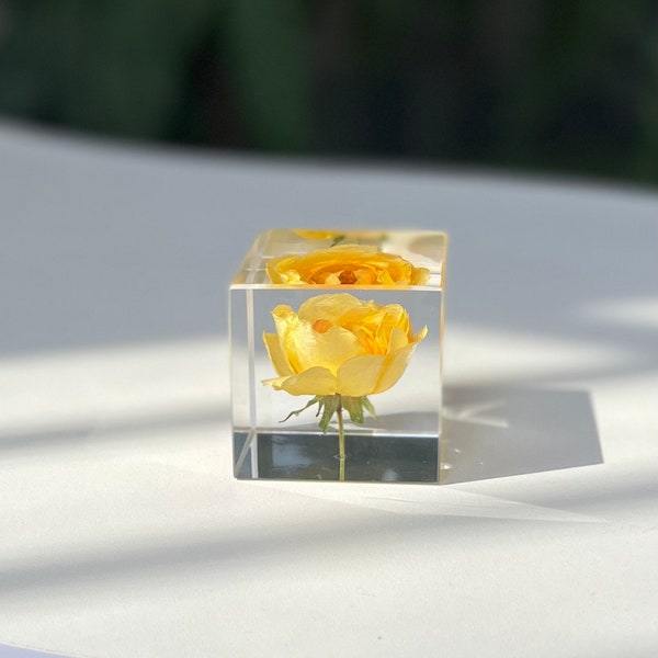 Yellow Rose Preservation Resin Cube Shelf Ornament Customizable Best Friend Gifts for Her Imortal Flower Gifts