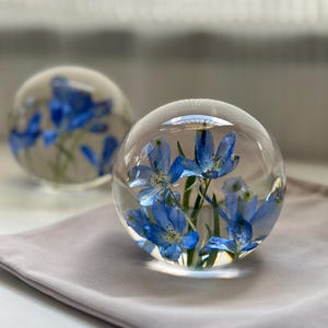 Puede incluir: Dos esferas de vidrio transparente, cada una con flores azules vibrantes. Las esferas descansan sobre una superficie gris suave. Las flores son de un color azul brillante, con pétalos delicados y tallos verdes, creando un artículo decorativo único.