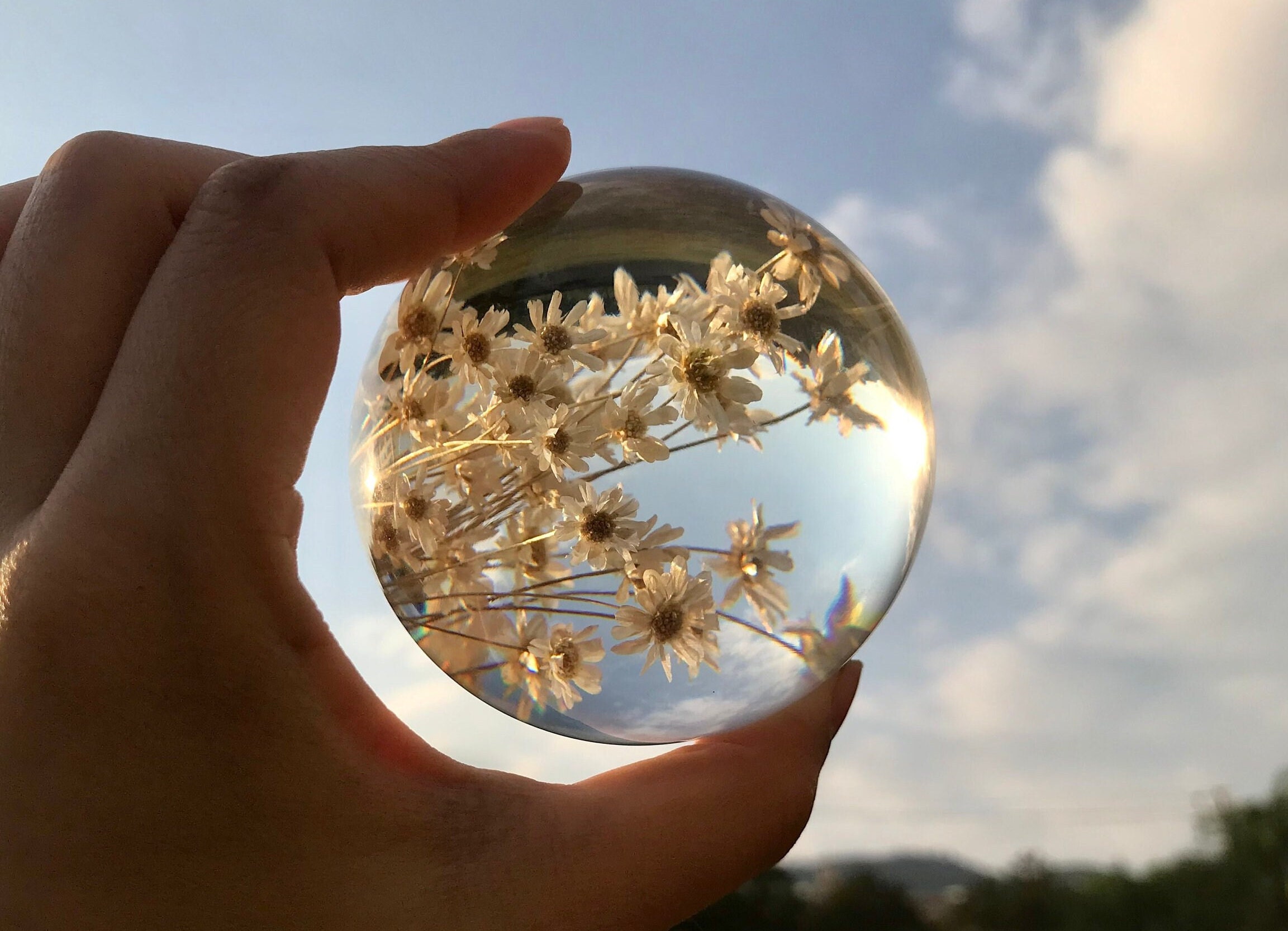 Real Daisy Crystal Paperweight Ball - 68mm Resin Globe For - View #8