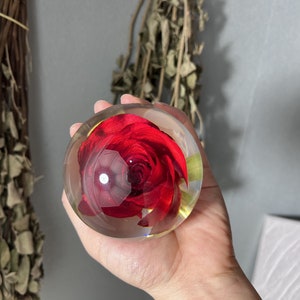 May include: A clear glass sphere with a preserved red rose inside. The rose is in full bloom and has a delicate, layered appearance.