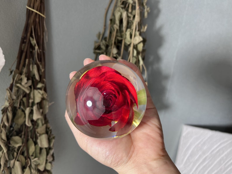 May include: A clear glass sphere with a preserved red rose inside. The rose is in full bloom and has a delicate, layered appearance.