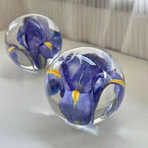 Esfera de resina de iris morado preservado: un regalo floral de recuerdo.