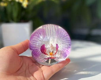 Preserved Pink Orchid Resin Sphere: Butterfly Phalaenopsis Keepsake Gift