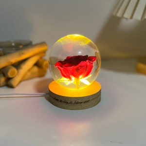Red Rose Preserved in Resin Rose Nightlight Romantic Valentine&#39;s Gifts for her Engagement Gifts Anniversary Gifts