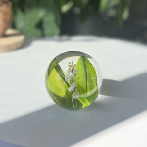 Lily of The Valley Real Flower Sphere Preserved Flower Souvenirs Botanical Gift for Her Unique Birthday Girl Gifts