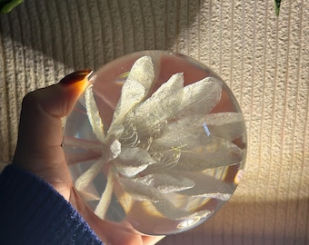 9cm Epiphyllum( Night-bloomimg flower ) Resin Night Light with Custom Engraving Lamp Botanical Gift