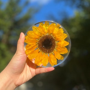 Sunflower Gifts Real Sunflower Set In Resin Dry Flower Art Sunflower Decor Anniversary Gifts for Her Best friend Gifts