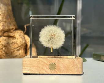 New version-6cm Preserved Floating Dandelion seed Cube Engrave Night Light