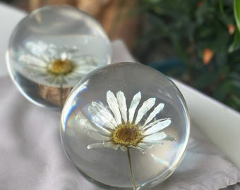 Real Daisy Crystal Paperweight Ball - 68mm Resin Globe For - View #5