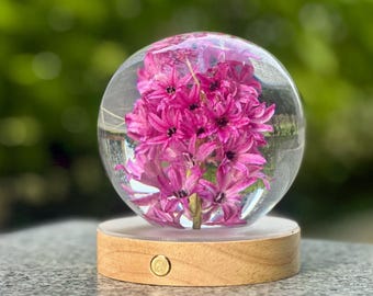 Preserved Pink Hyacinth Resin Sphere Gentle Love & New Beginnings Romantic Gift Cozy Desk Decor